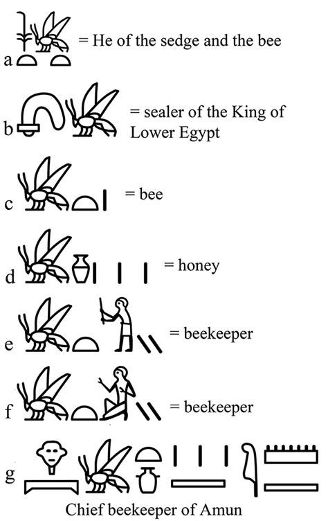 Bee magic vs egyptian magic